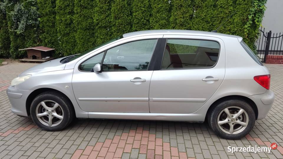 Peugeot 307 1600ccm 109 lpg 7l na 100 srebrny na elektryczne szyby Orzechowo