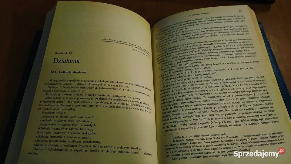 Podstawowe zagadnienia dydaktyki matematyki sprzedam