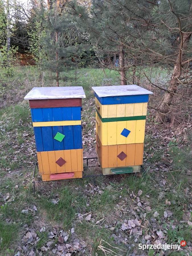 Odkłady Pakiety Pszczoły na WAGE Pszczelarstwo