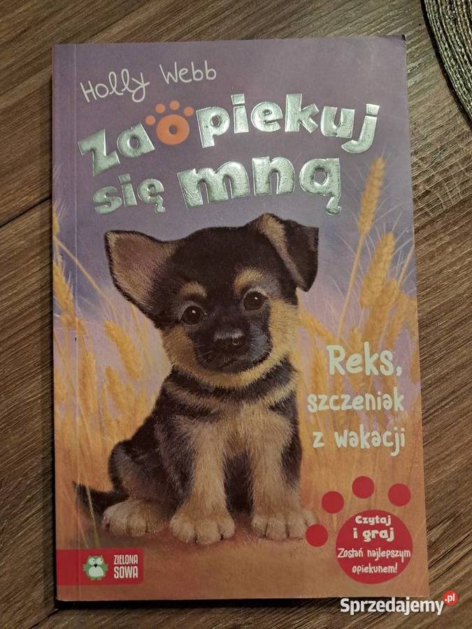 5 książek z serii zaopiekuj się mną Holly Webb Sandomierz