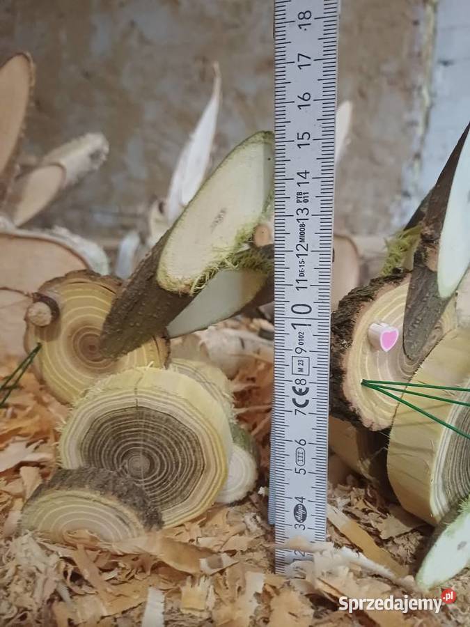 zajac wielkanocny Żary