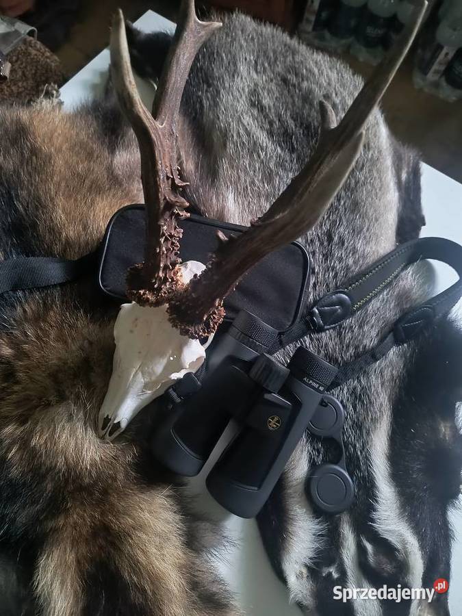 Lornetka 10x52 leupold BX2 AlpineHD Lornetki i teleskopy Mielec