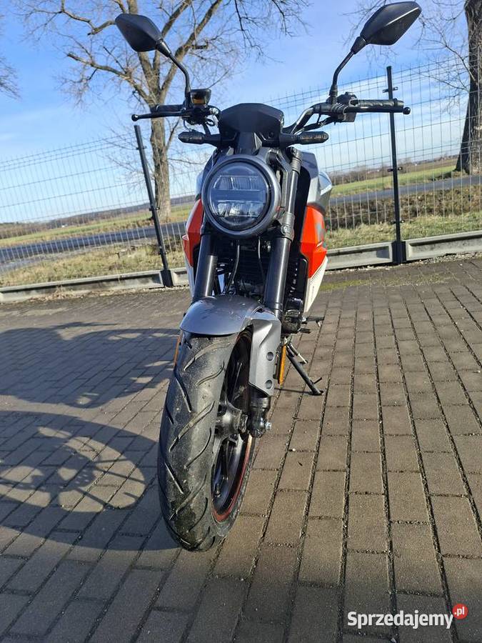 Barton Naked nowy naked dolnośląskie Świdnica