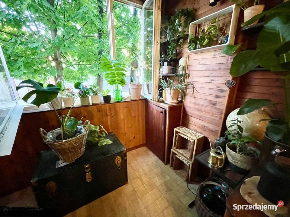 2pok 69met Wandy BALKONPIWNICA Wrocław