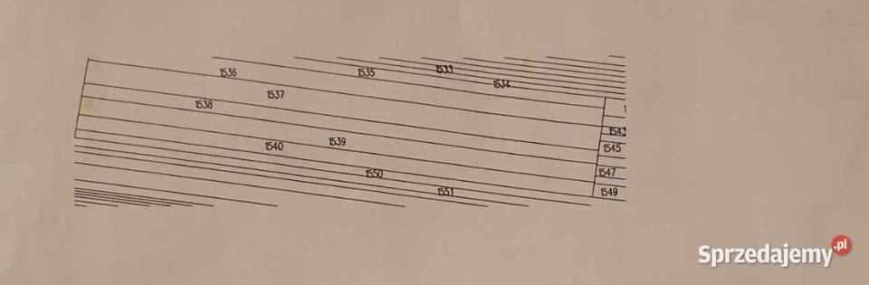Sprzedam las Wola Obszańska