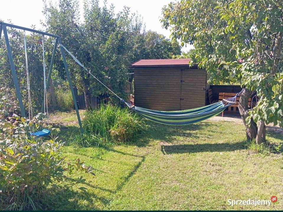 Duża działka ROD Rydzyna Sprzedaż