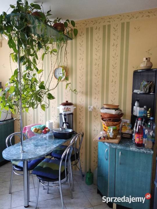 Zabudowa kuchenna Pozostałe Elbląg