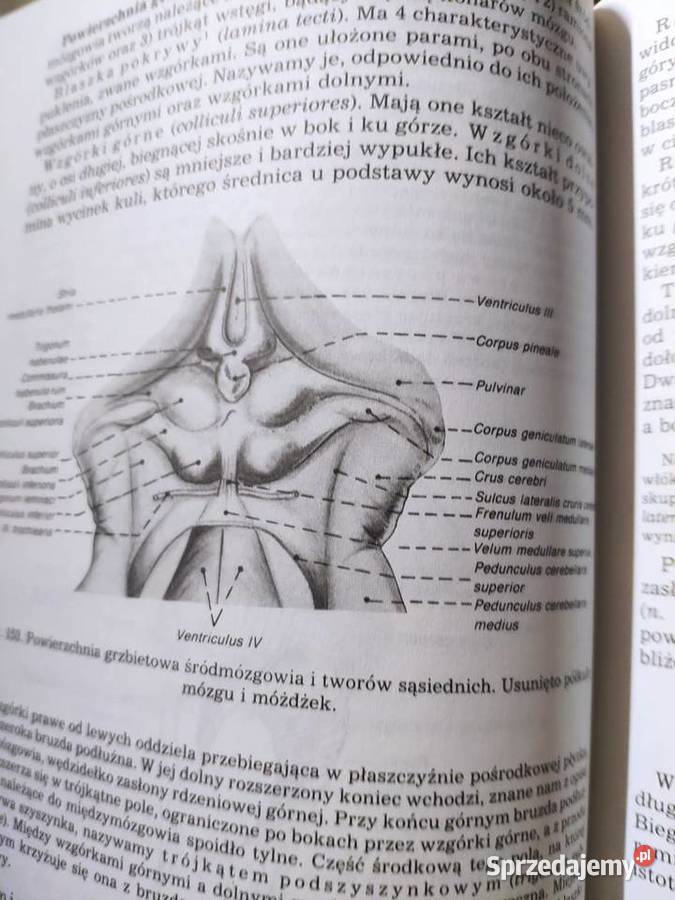 Anatomia człowieka komplet 5 tomów Książki naukowe i popularnonaukowe mazowieckie Żukowo sprzedam