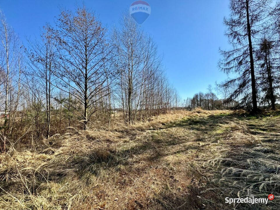 Działka budowlana 5436 m Łuków Śląski 101m