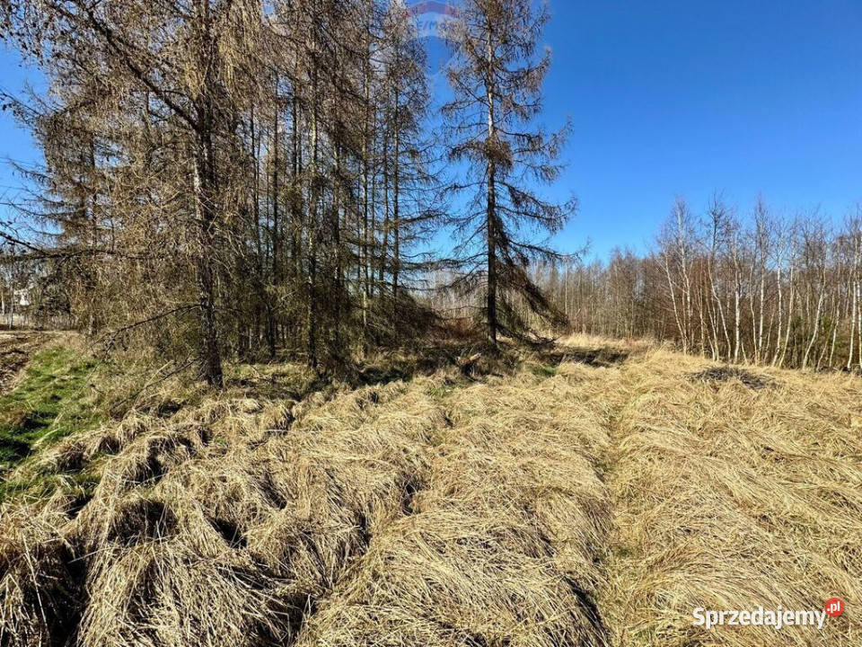 Działka budowlana 5436 m Łuków Śląski