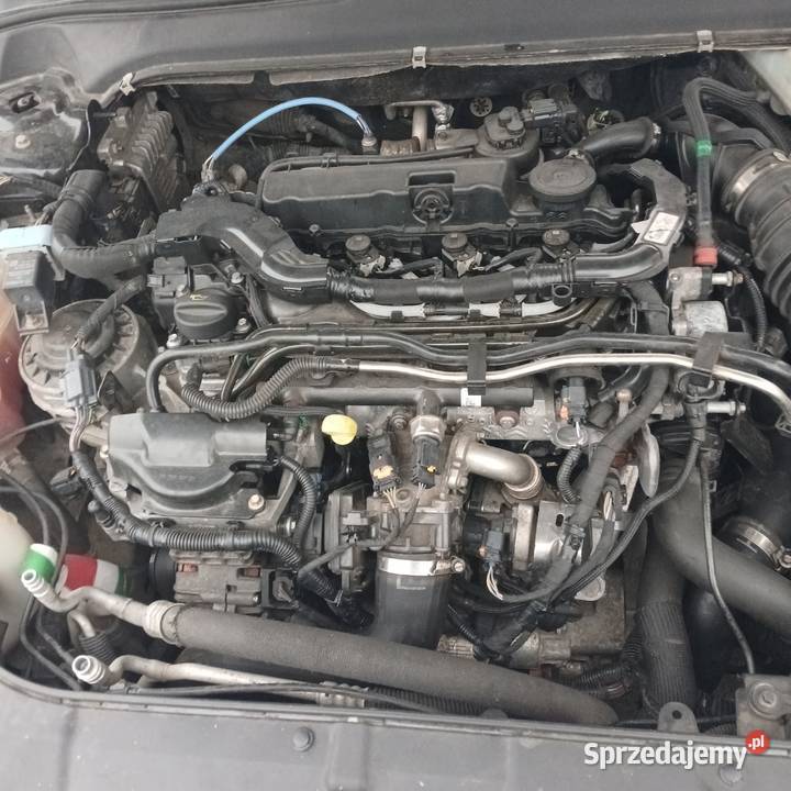 Mondeo mk5 2017r Ostrownica