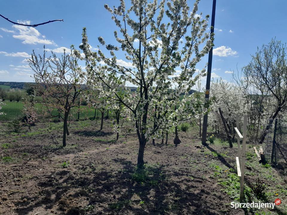 Nowy dom do wykończenia Grabowiec-Góra