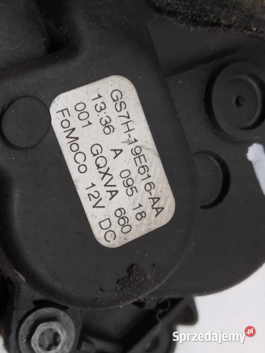 SILNICZEK NAGRZEWNICY EU GS7H19E616AA świętokrzyskie