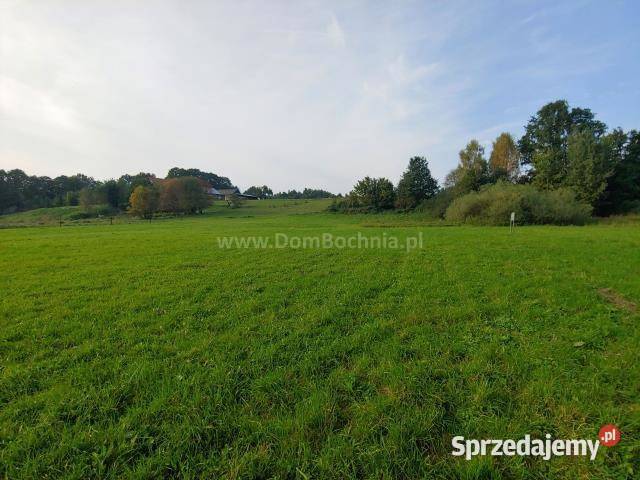 Działkę sprzedam Łąkta Górna 9000m2 16zł/m2