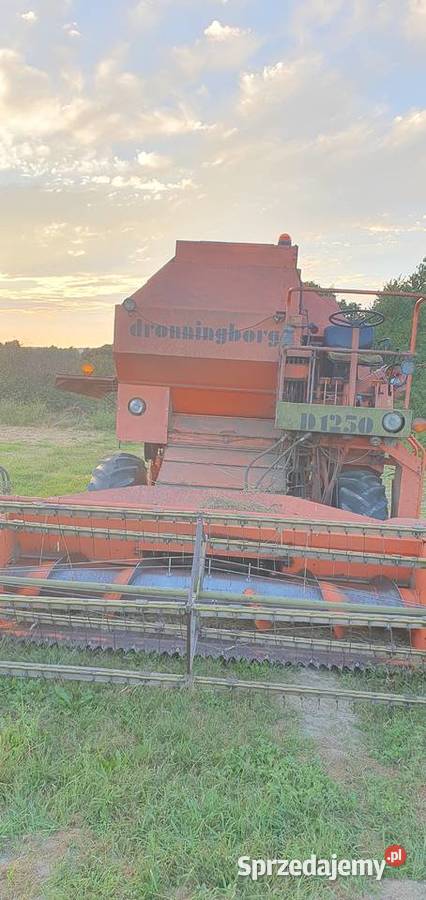 Dronningborg d1250 nieuszkodzony Stryjno-Kolonia