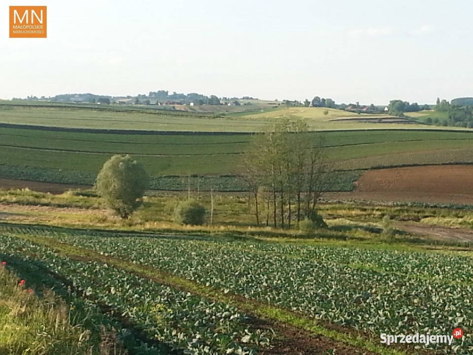 sprzedaży gruntu 1560m2 Wronin budowlana
