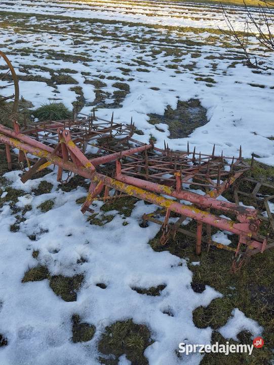 Brony 5 polowe Grudziądz Brony Żółkiewka-Osada