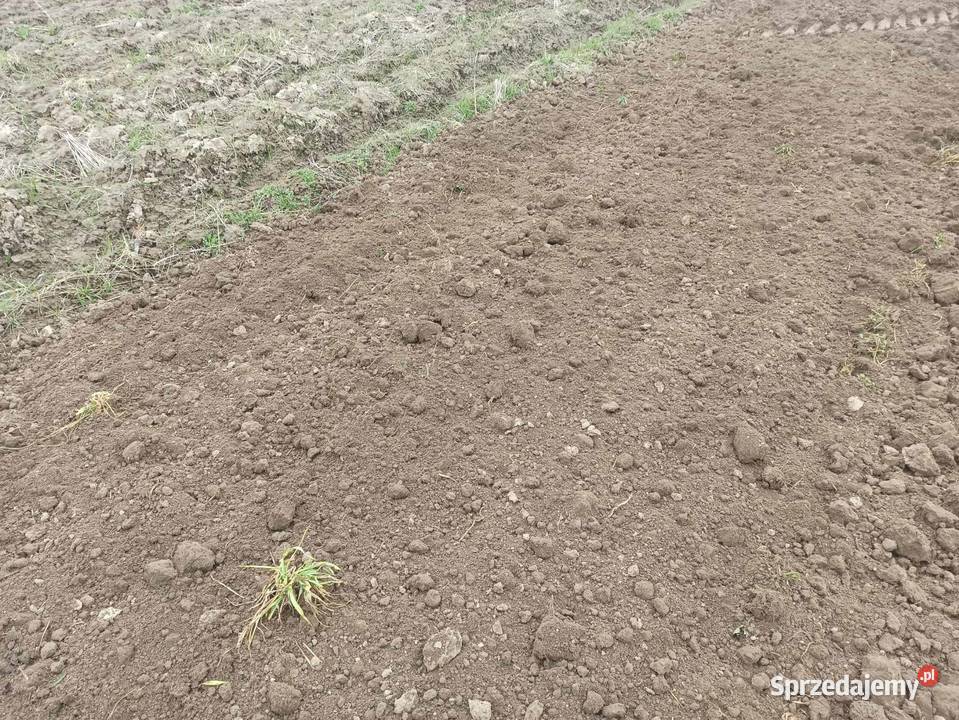 Brona wahadłowa 3m Agromet Jawor U2381 agregat Piaski sprzedam