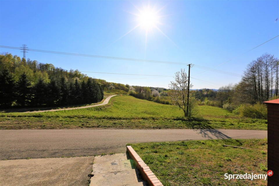 Na sprzedaż działka idealna pod winnice Szczepanowice
