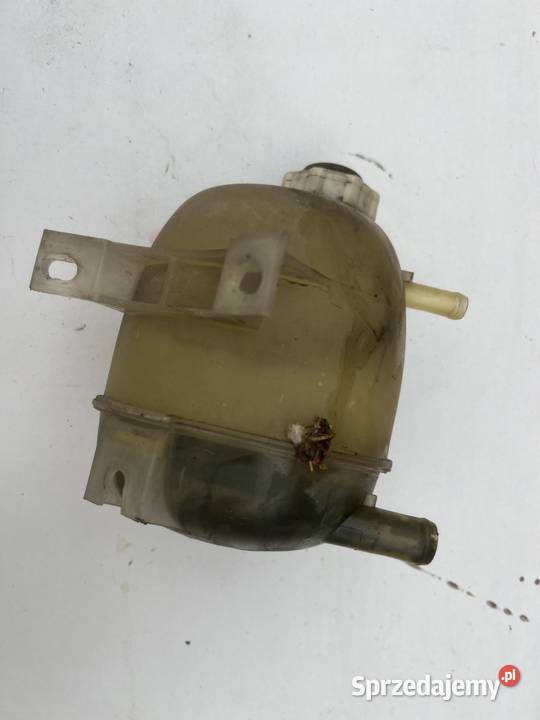 Zbiorniczek wyrównawczy Renault Megane Scenic 1 Zbiorniki wyrównawcze