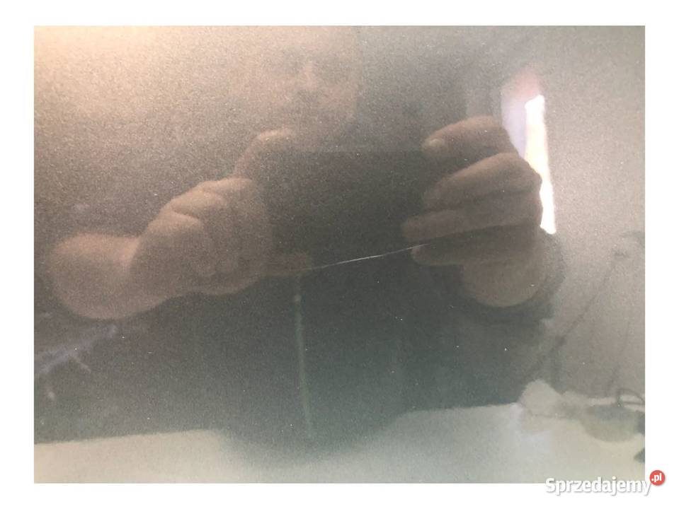 SUBARU OUTBACK 4 IV BR 20092014 DRZWI TYŁ TYLNE Drzwi Skarżysko-Kamienna