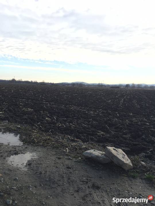 4 HA ZIEMI III KLASY Rogów Sobócki