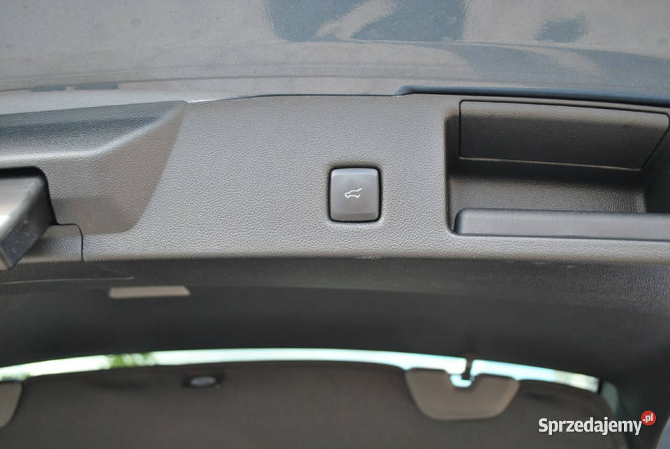 Ford Kuga STLine 20EcoBlue 190 A8 AWD Gwarancja niebieski podlaskie