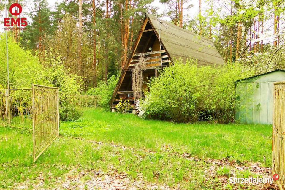 sprzedaży gruntu 8316m2 Rafałówka podlaskie sprzedam