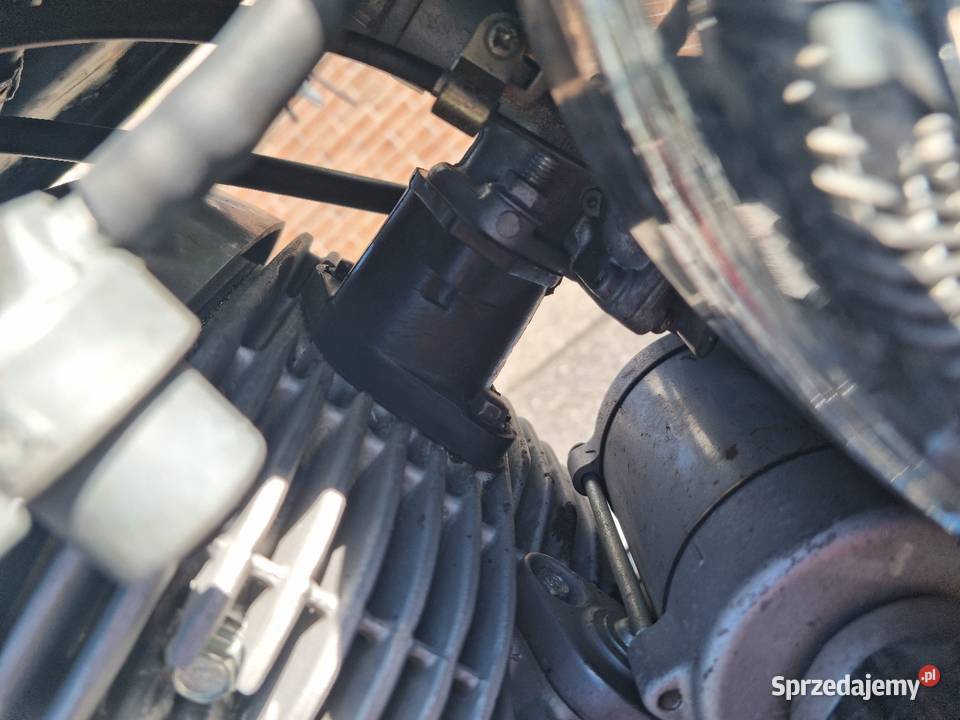 Daelim 125 nieuszkodzony