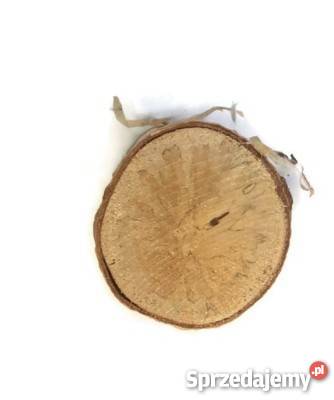 NAJTANIEJ plastry drewniane brzoza 610 gr 2 Rybnik