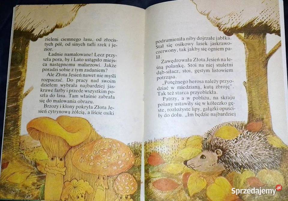 Malarze czarodzieje Georgi Skriebicki Rok wydania 1986 lubelskie Chełm