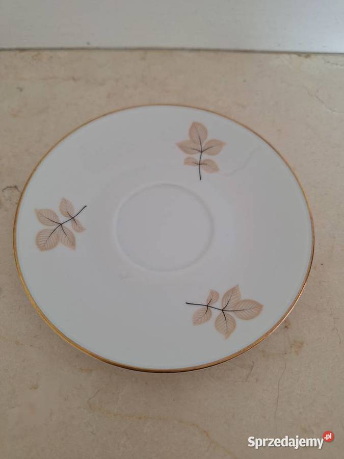 Serwis kawowy Rosenthal Schattenrose porcelana Gdańsk