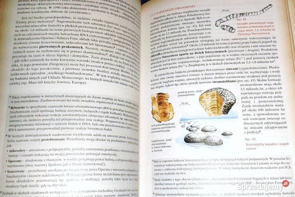 Podstawy ewolucjonizmu Jacek Balerstet Chełm