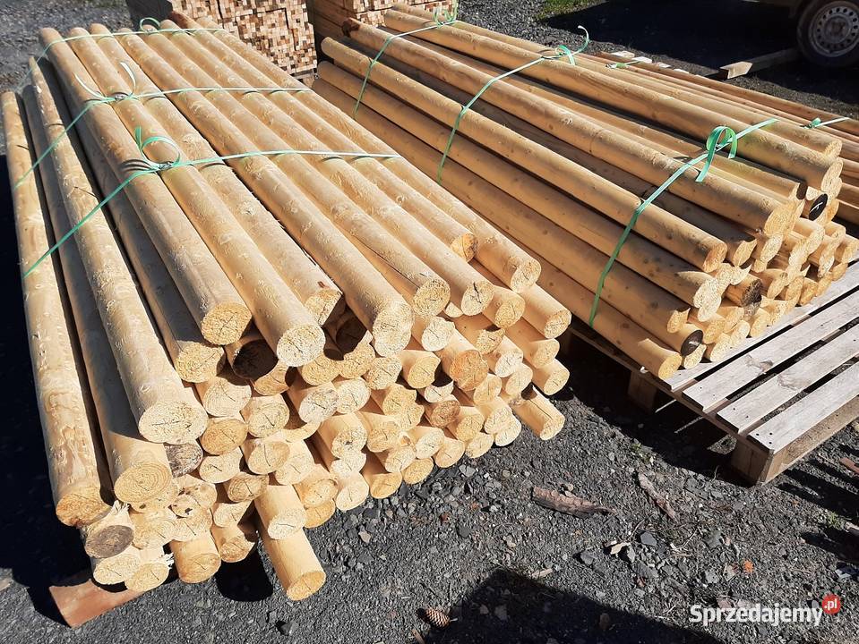 Słup okrągły modrzew dł 240m Stemple modrzewiowe Jelenia Góra sprzedam