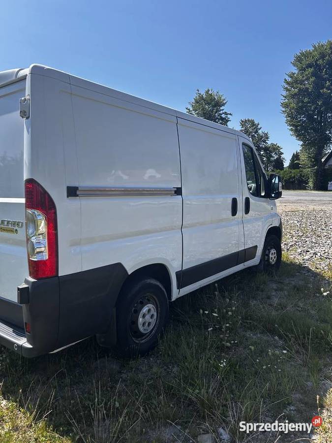 Fiat Ducato Niedźwiedź sprzedam