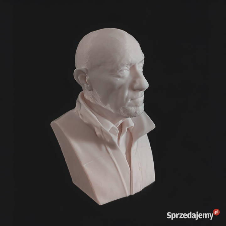Figurka 3D Mike Ehrmantraut Breaking Bad Better Warszawa sprzedam