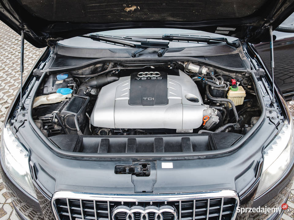 Audi Q7 Klasyk z Pazurem Nysa