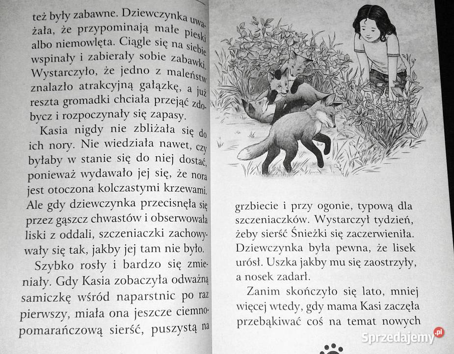 Zaopiekuj się mną Śnieżka zimowy lis Holly Webb Pozostałe Chełm
