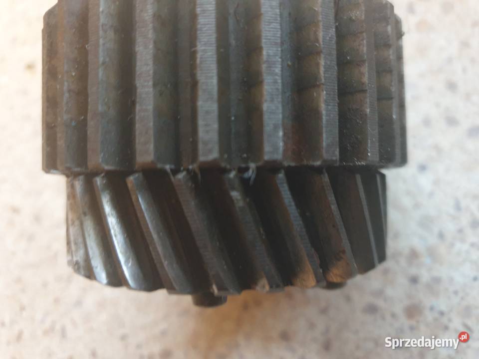 Zabierak Etz 250 251 301 Ts 2501