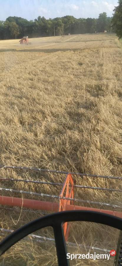 Bizon Super Z056 Bizon