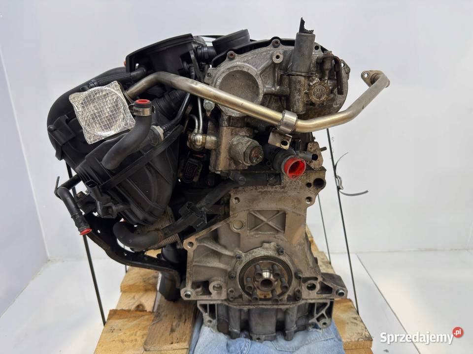 SILNIK VW Golf V Jetta III Passat B6 Audi A3 II osobowe Silniki kompletne