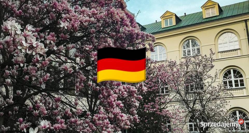 Korepetycje język niemiecki zajęcia z