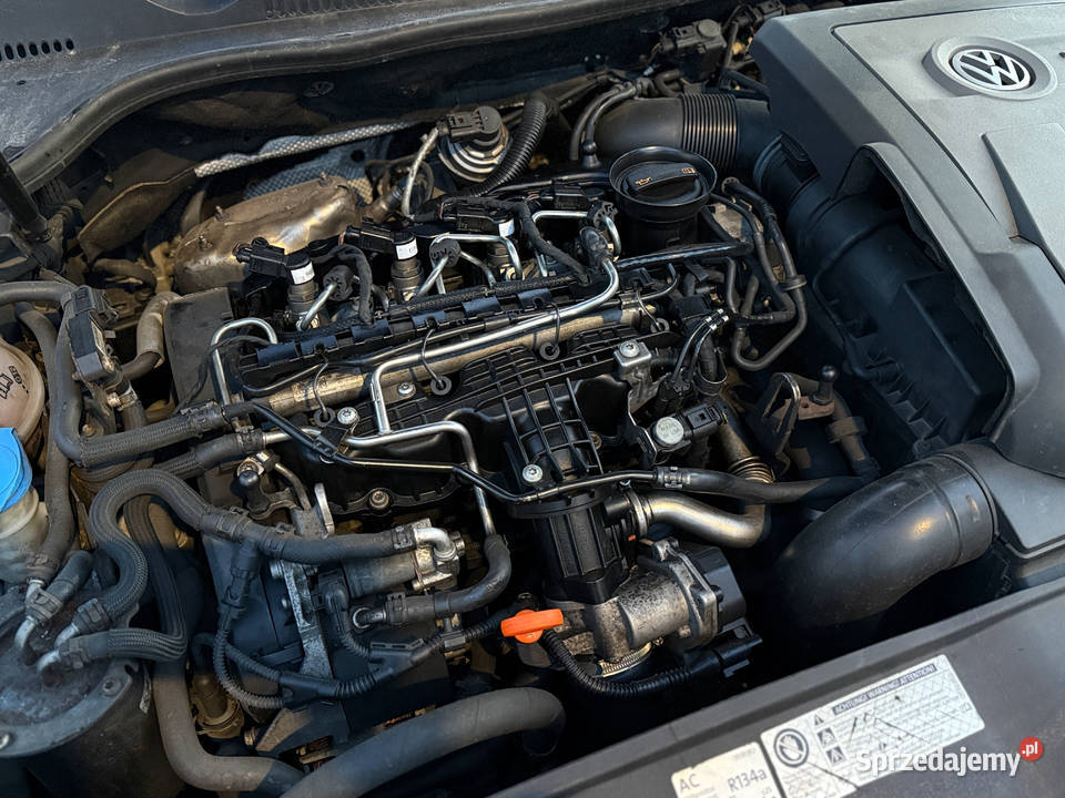 Volkswagen Golf VI 2011 16 TDI automat Rokietnica