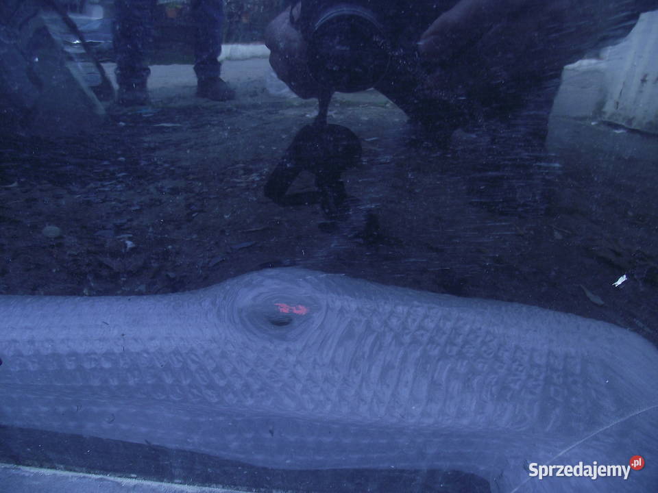 Jepp Grand Cherokee Drzwi tylne lewe