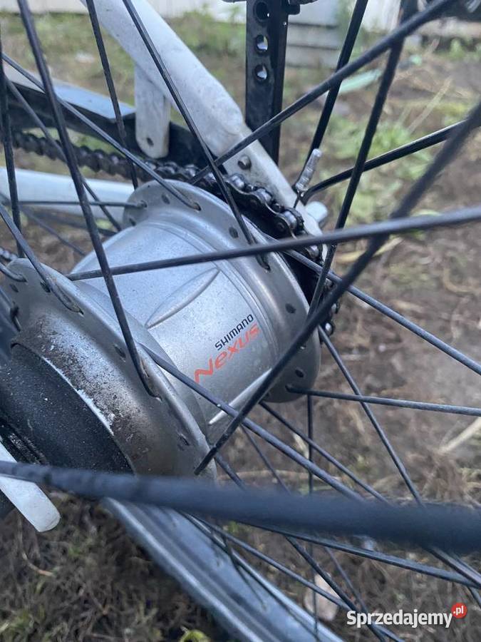 Rower damka koła 26 Rowery Bydgoszcz