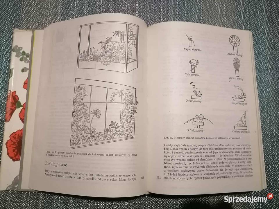 Uprawa Roślin Ozdobnych Pozostałe Wałbrzych sprzedam