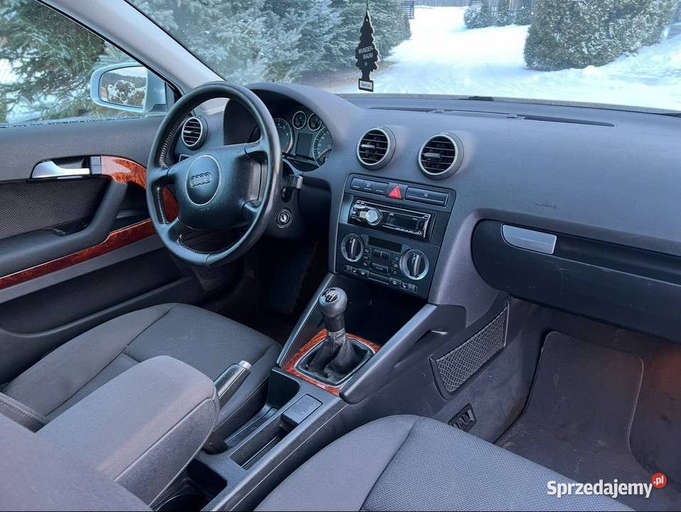 Audi A3 2003r 16FSI Oryginalny przebieg podkarpackie Pilzno