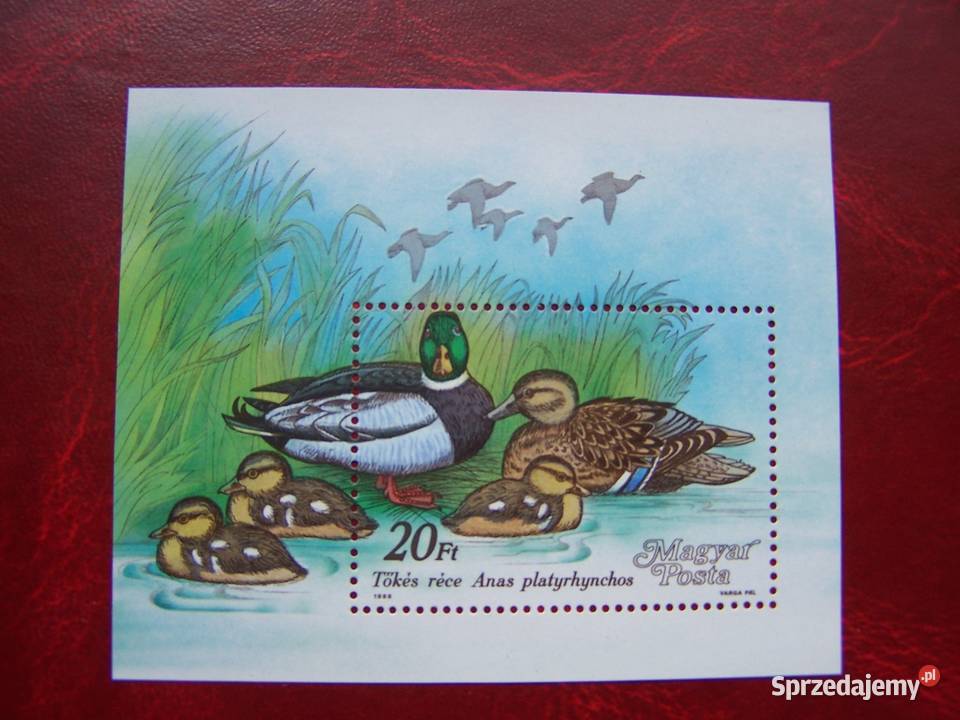 Węgry 1988 MNH Mi 397276 Fauna Ptaki śląskie