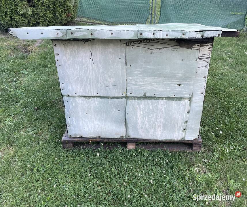 Buda Psa Duża Masywna Pilica