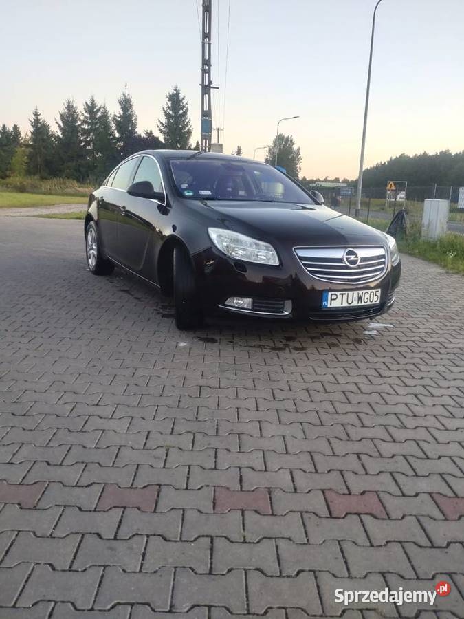 Opel Insignia 20cdti 160 Konin